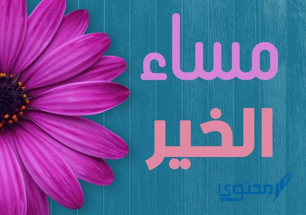 صور مساء الورد والياسمين