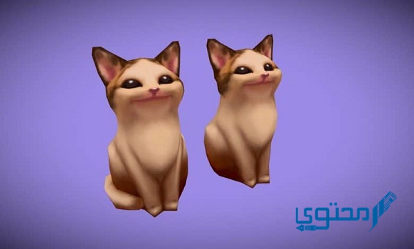 طريقة تحميل لعبة بوب كات (POPCAT)