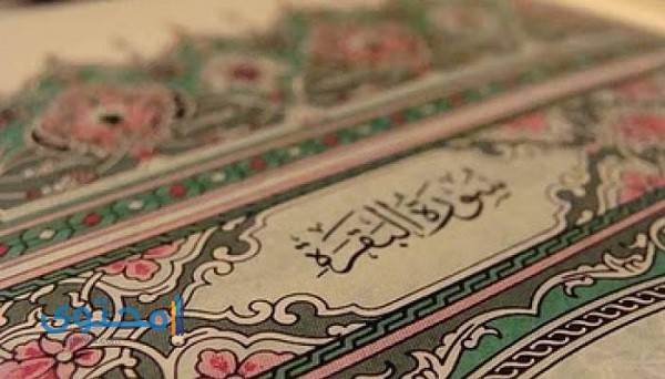 آيات قرآنية تساعد على الحفظ وعدم النسيان