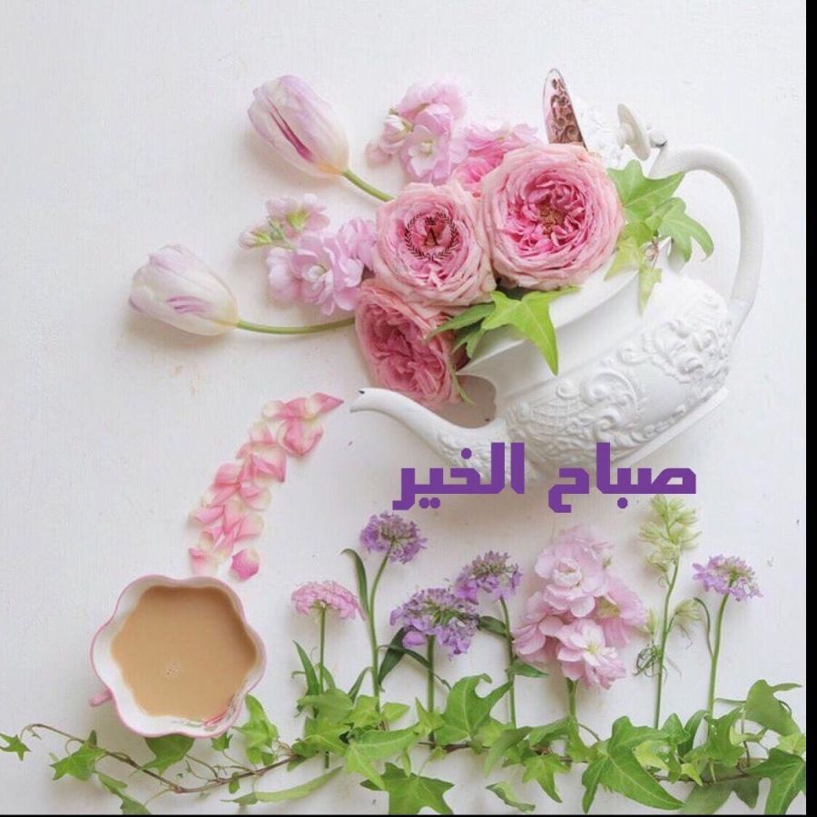 صور صباح الخير