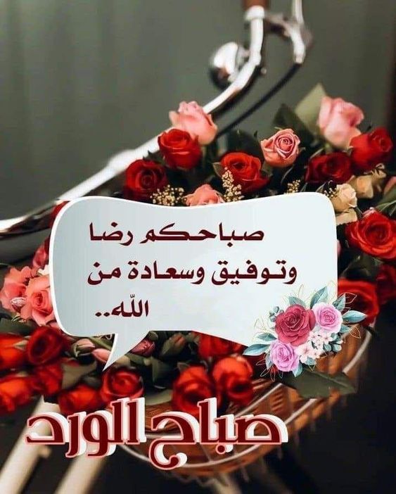 صور صباح الفل جديدة