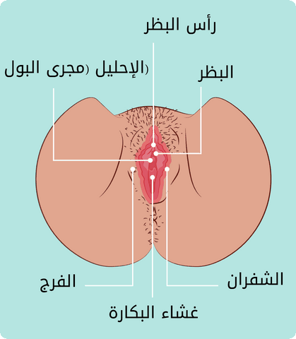 ما هي العذرية