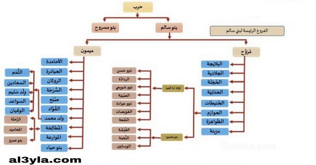 السلمي وش يرجع