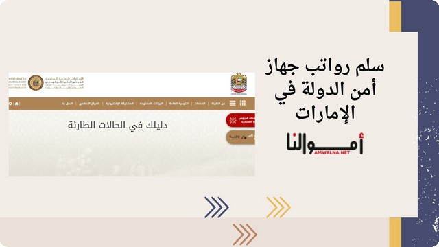 جهاز أمن الدولة في الإمارات