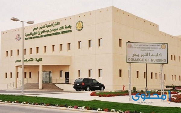 تخصصات جامعة الملك سعود للبنات