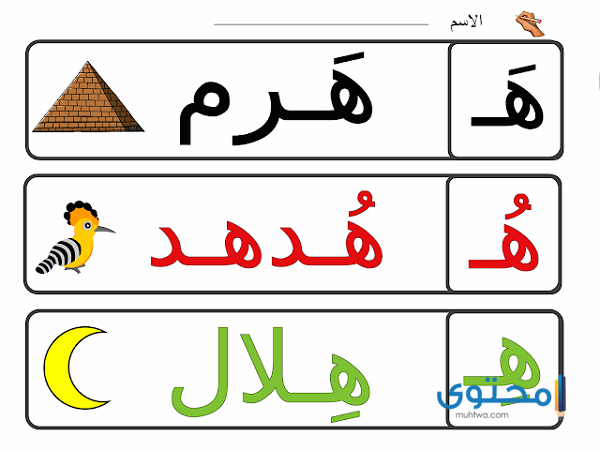 أفعال تبدأ بحرف الهاء