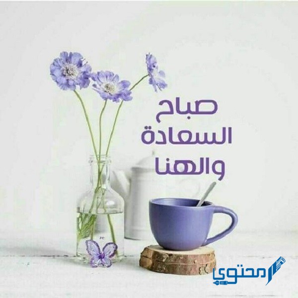 الرد على بونجور بالفرنسي