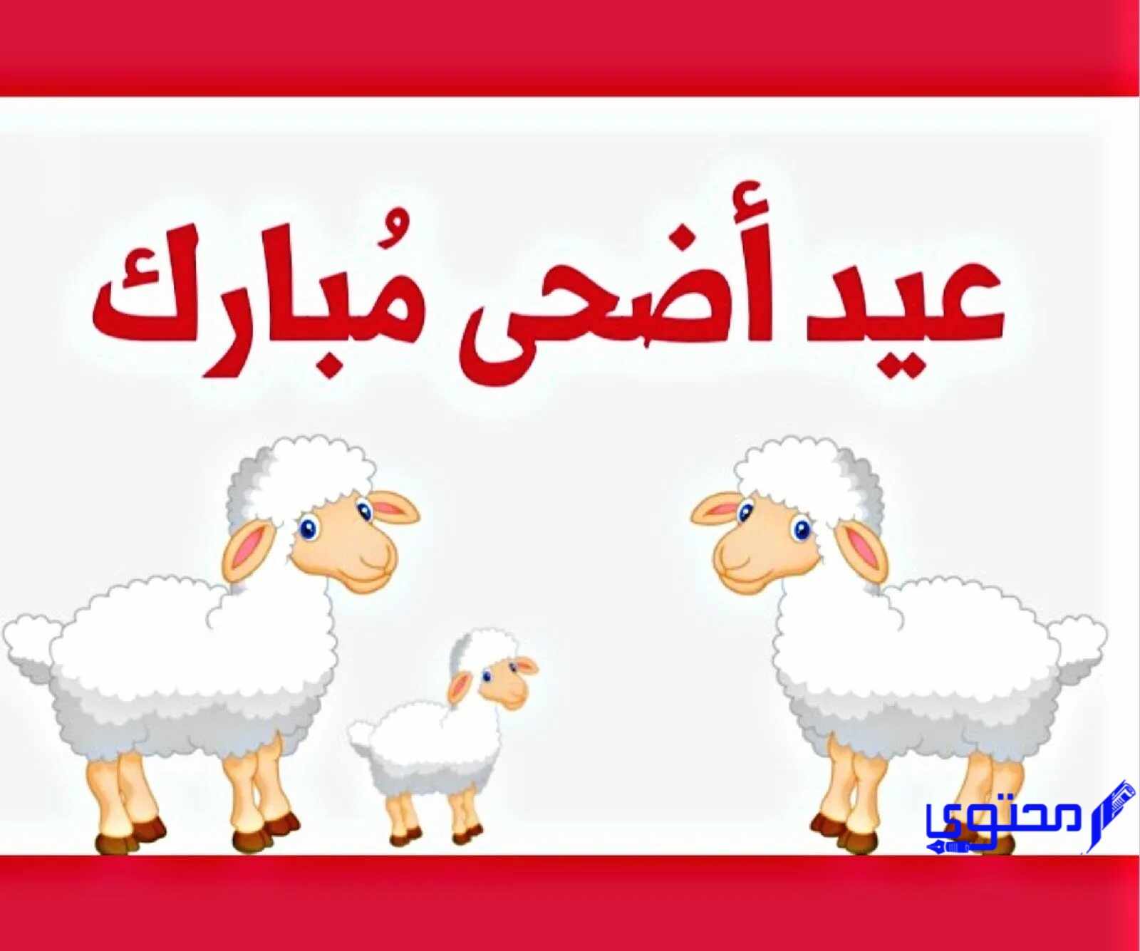 كل سنة وأنتم طيبين عيد اضحى سعيد