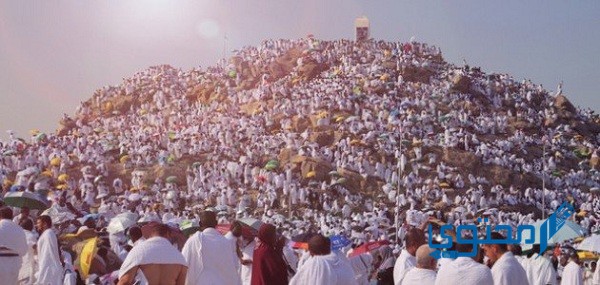 خطبة عن يوم عرفة ويوم النحر