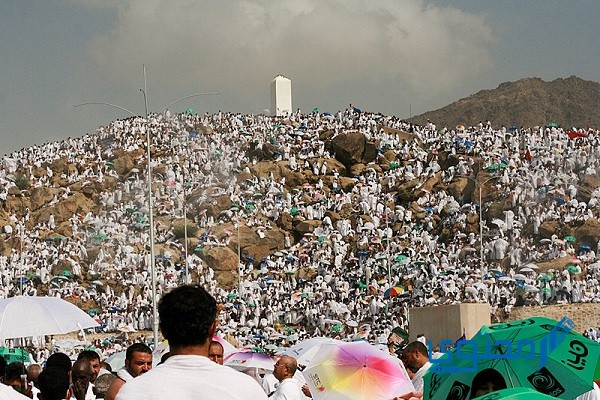 متى يبدأ الزوال يوم عرفة