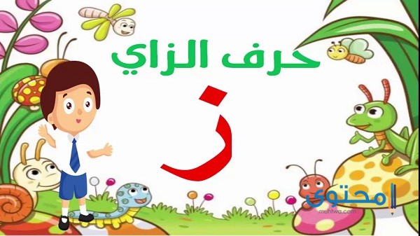 اسم نبات بحرف الزين (ز)