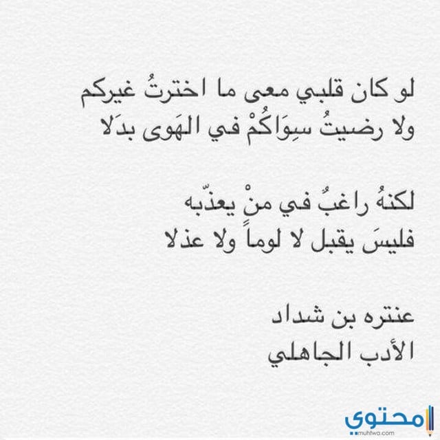 شعر عنترة في الغزل