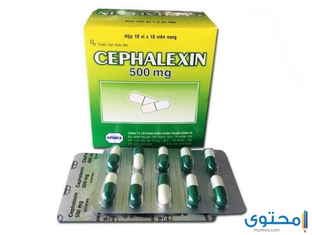 سيفالكسين 500 (CEPHALEXIN)