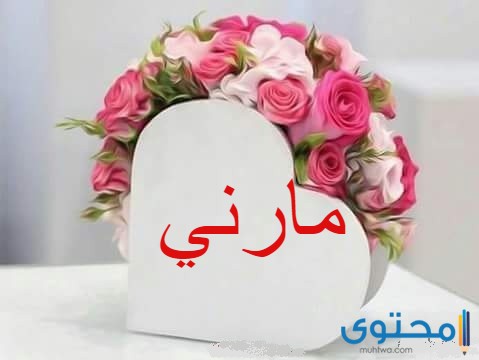 معنى اسم مارني