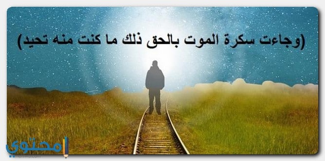 ايات قرانية عن الموت