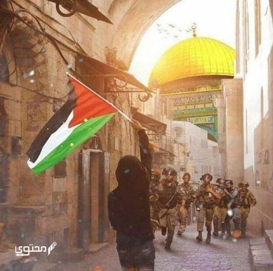 أجمل صور علم فلسطين 2025 خلفيات العلم الفلسطيني.. تُعبر عن صمودها ورفع رايتها بين الدول