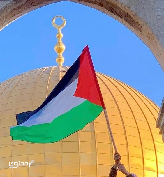 أجمل صور علم فلسطين 2025 خلفيات العلم الفلسطيني.. تُعبر عن صمودها ورفع رايتها بين الدول