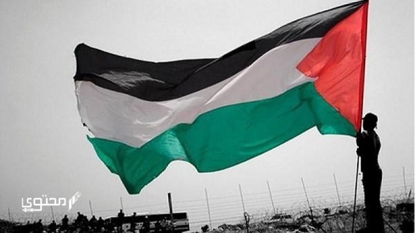 أجمل صور علم فلسطين 2025 خلفيات العلم الفلسطيني.. تُعبر عن صمودها ورفع رايتها بين الدول