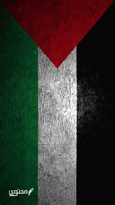 أجمل صور علم فلسطين 2025 خلفيات العلم الفلسطيني.. تُعبر عن صمودها ورفع رايتها بين الدول