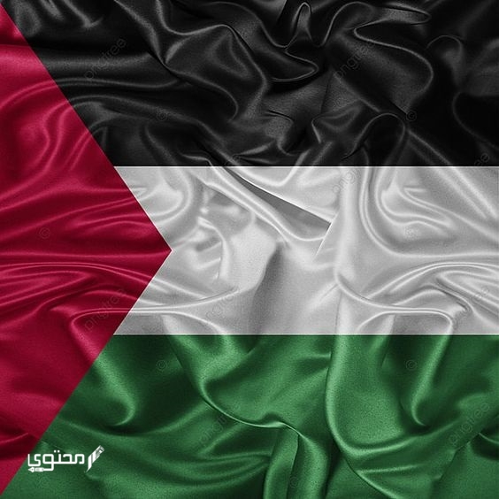 أجمل صور علم فلسطين 2025 خلفيات العلم الفلسطيني.. تُعبر عن صمودها ورفع رايتها بين الدول