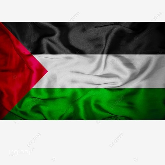 أجمل صور علم فلسطين 2025 خلفيات العلم الفلسطيني.. تُعبر عن صمودها ورفع رايتها بين الدول