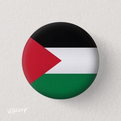 أجمل صور علم فلسطين 2025 خلفيات العلم الفلسطيني.. تُعبر عن صمودها ورفع رايتها بين الدول