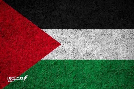 أجمل صور علم فلسطين 2025 خلفيات العلم الفلسطيني.. تُعبر عن صمودها ورفع رايتها بين الدول