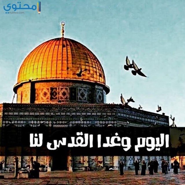 صور ورمزيات عن فلسطين