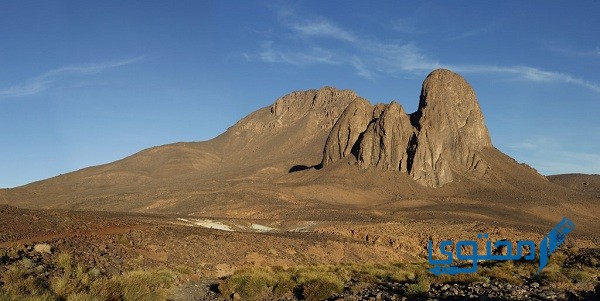 أين يوجد جبل تاهرت ؟ وما هو ارتفاعه