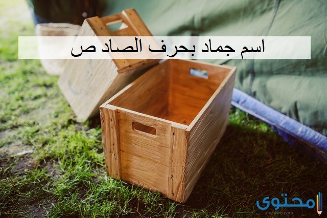 اسم جماد بحرف الصاد ص (15 جماد بحرف ص)