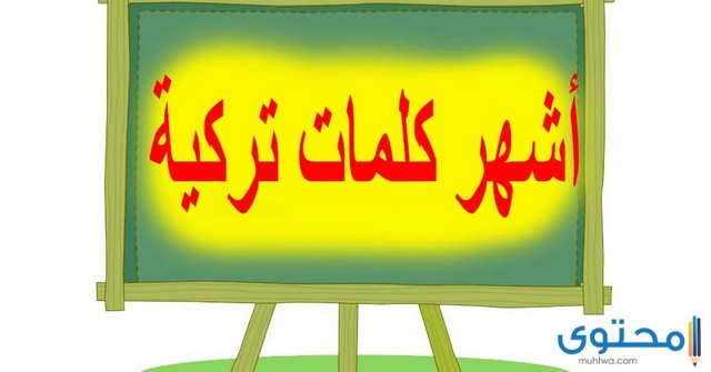 أشهر كلمات تركية ومعانيها مترجمة