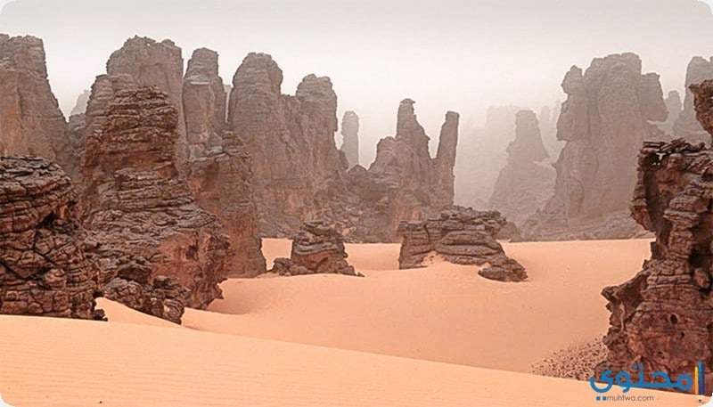 صور ومعالم تراثية عالمية فى افريقيا