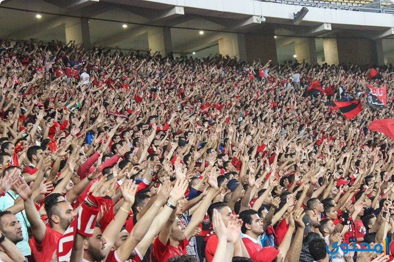 صور جماهير النادي الاهلي المصري خلفيات جمهور Ahly SC