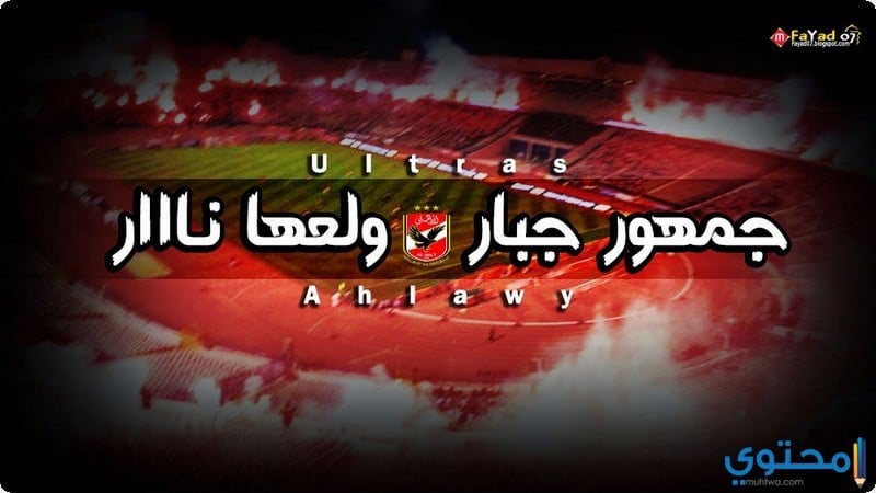 صور جماهير النادي الاهلي المصري خلفيات جمهور Ahly SC