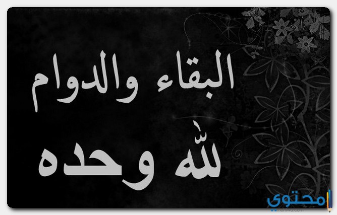 الرد على احسن الله عزاكم