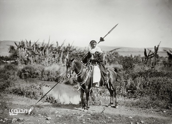 قبيلة الجميلي وش يرجعون وما هو أصلهم