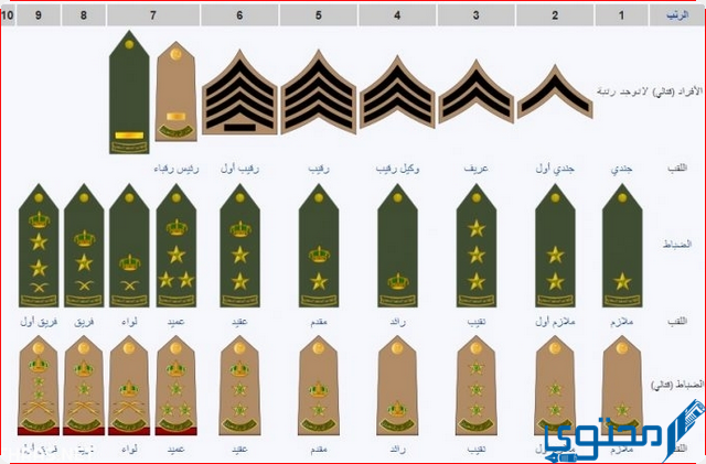 الراتب الاساسي للملازم في السعودية