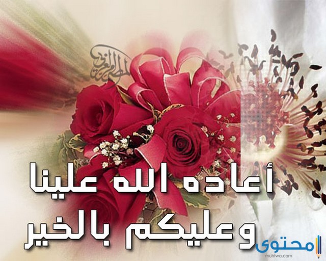 الرد على عيد أضحى مبارك