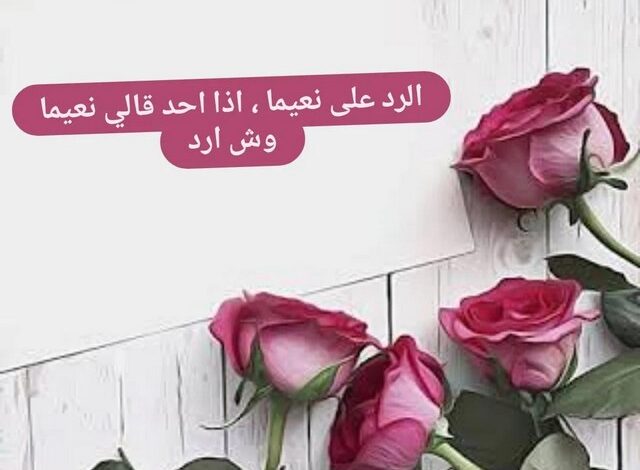 الرد على نعيما، إذا أحد قالي نعيما وش أرد