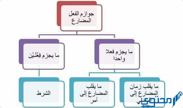 العاملان لم يخونا أمانتهما. علامة جزم الفعل المضارع الألف