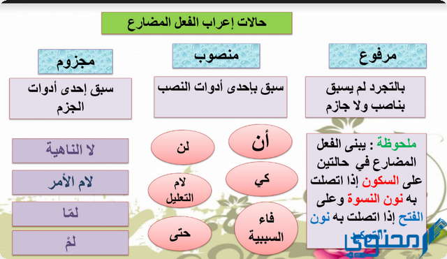 العاملان لم يخونا أمانتهما