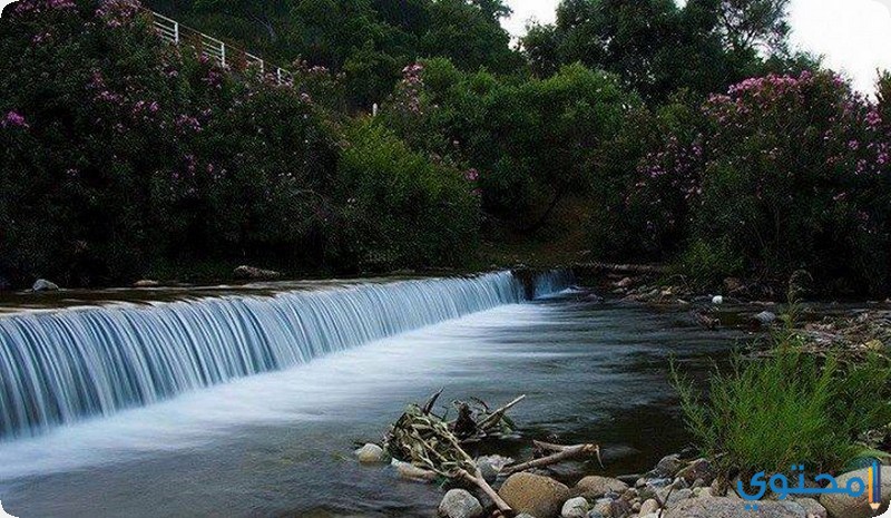 دليل وصور السياحة فى الجزائر