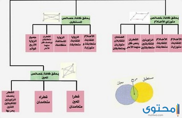 المربع والمعين