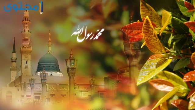 صور المولد النبوي 2023