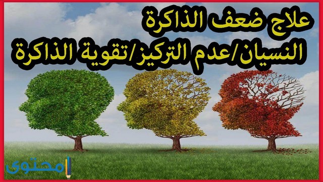 ما هو علاج كثرة النسيان