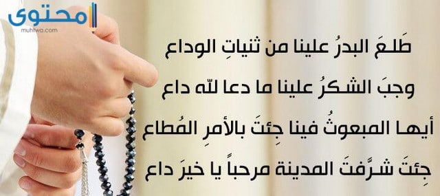 أناشيد المولد النبوي الشريف مكتوبة (مولد خير الأنام )