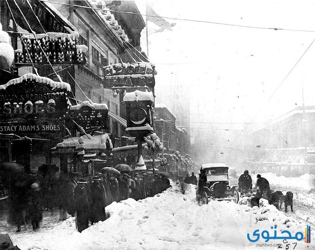 انهيار شتاء الرعب 1950