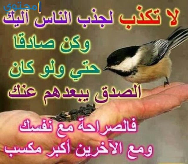 منشورات ثقافية 