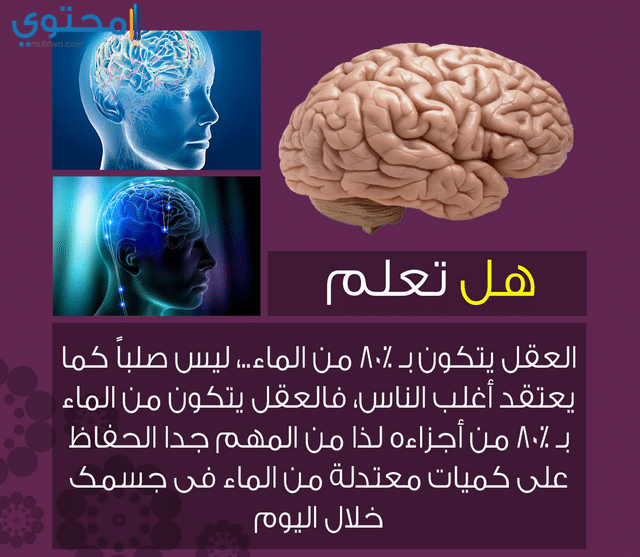 بوستات فيس بوك ثقافية بالصور