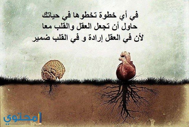 بوستات فيس بوك جديدة حكم